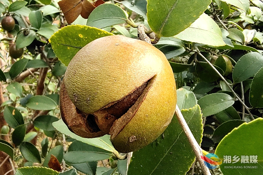 20229271664269475737_167 (1)_副本_副本.jpg